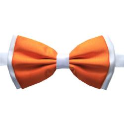 Orange Burst Bow Tie Image